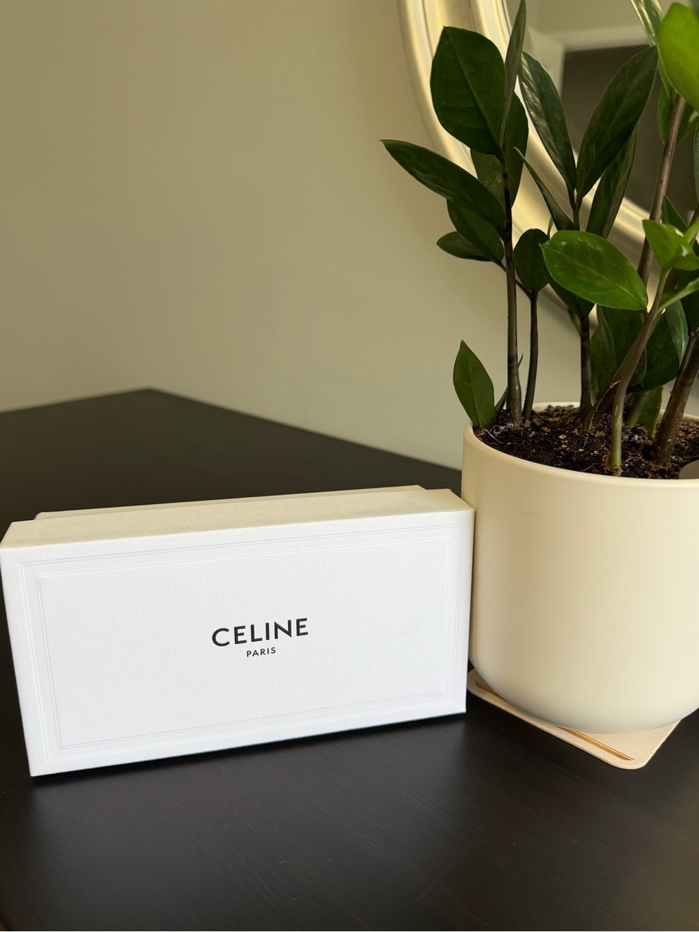 Celine Sunglasses Box